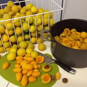 Apricots and Sunrise Limes