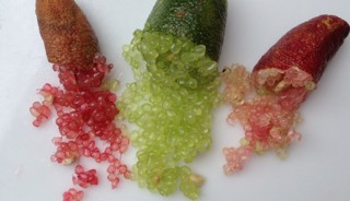 Frozen Finger Limes - 1kg